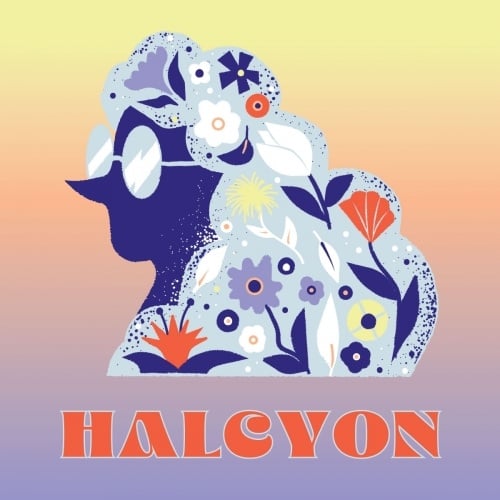 Tonewood Halcyon 6pk [6 PACK]